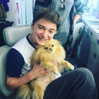 Noah Schnapp : noah-schnapp-1529524802.jpg