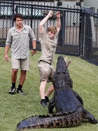 Robert Irwin : robert-irwin-1626044064.jpg