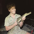 Robert Irwin : robert-irwin-1633620978.jpg