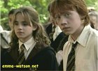 Rupert Grint : rupert_grint_1214391037.jpg