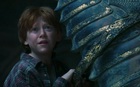 Rupert Grint : rupert_grint_1296339625.jpg