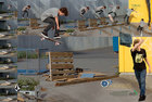 Ryan Sheckler : TI4U_u1150594888.jpg