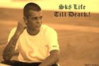 Ryan Sheckler : ryan_sheckler_1249824474.jpg