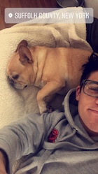 Sean O'Donnell : sean-odonnell-1509687001.jpg