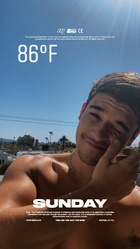 Sean O'Donnell : sean-odonnell-1618134661.jpg