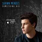 Shawn Mendes : shawn-mendes-1422044168.jpg