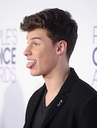 Shawn Mendes : shawn-mendes-1452173761.jpg