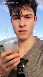 Shawn Mendes : shawn-mendes-1468204921.jpg