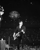 Shawn Mendes : shawn-mendes-1552171681.jpg