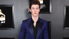 Shawn Mendes : shawn-mendes-1553196601.jpg