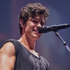 Shawn Mendes : shawn-mendes-1564344181.jpg