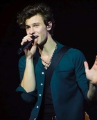 Shawn Mendes : shawn-mendes-1577400474.jpg