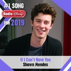 Shawn Mendes : shawn-mendes-1578010081.jpg