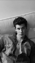 Shawn Mendes : shawn-mendes-1578870991.jpg