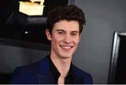 Shawn Mendes : shawn-mendes-1586384186.jpg