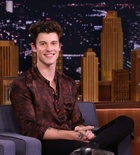 Shawn Mendes : shawn-mendes-1614979290.jpg