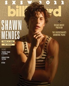 Shawn Mendes : shawn-mendes-1647748082.jpg