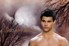 Taylor Lautner : taylor-lautner-1315384298.jpg