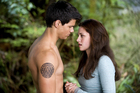 Taylor Lautner : taylor-lautner-1319121802.jpg