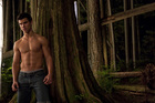 Taylor Lautner : taylor_lautner_1253576131.jpg