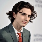 Timothee Chalamet : timothee-chalamet-1515604060.jpg