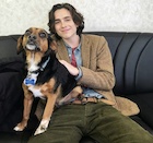 Timothee Chalamet : timothee-chalamet-1517459081.jpg