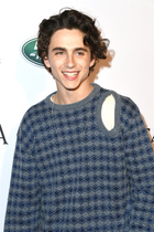 Timothee Chalamet : timothee-chalamet-1546884262.jpg