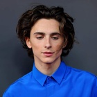 Timothee Chalamet : timothee-chalamet-1585777530.jpg