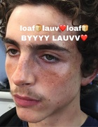 Timothee Chalamet : timothee-chalamet-1637603007.jpg