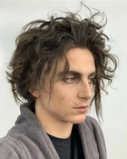 Timothee Chalamet : timothee-chalamet-1642065392.jpg