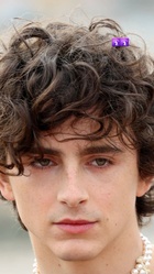 Timothee Chalamet : timothee-chalamet-1668301803.jpg