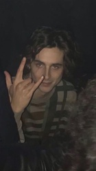 Timothee Chalamet : timothee-chalamet-1669252386.jpg