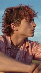 Timothee Chalamet : timothee-chalamet-1670285039.jpg