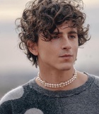 Timothee Chalamet : timothee-chalamet-1672160097.jpg