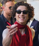 Timothee Chalamet : timothee-chalamet-1672160114.jpg