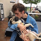 Troye Sivan : troye-sivan-1467230761.jpg