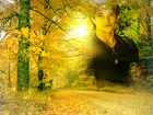 Tyler Posey : tyler-posey-1410282427.jpg