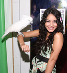 Vanessa Anne Hudgens : vanessa_anne_hudgens_1197156311.jpg