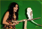 Vanessa Anne Hudgens : vanessa_anne_hudgens_1285029527.jpg